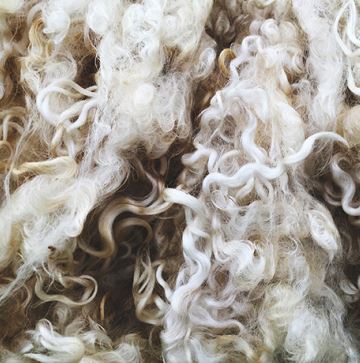 100% New Zealand Wool